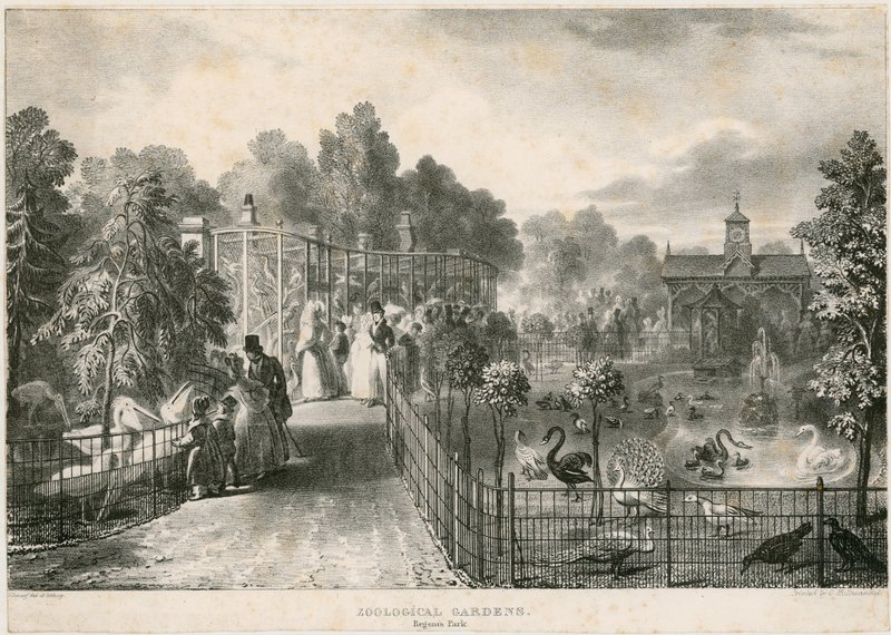 Zoologisk have, Regents Park af English School