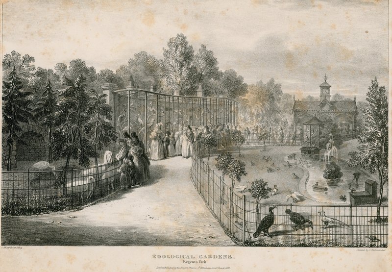 Zoologisk have, Regents Park af English School