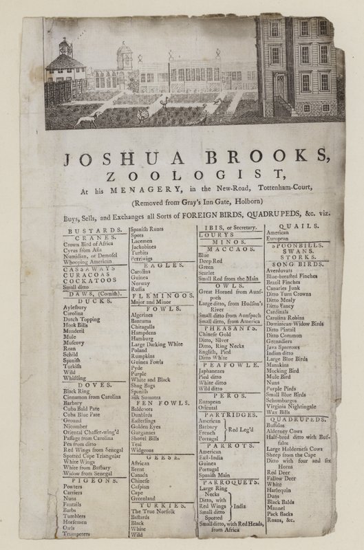 Zoolog, Joshua Brooks, handelskort af English School