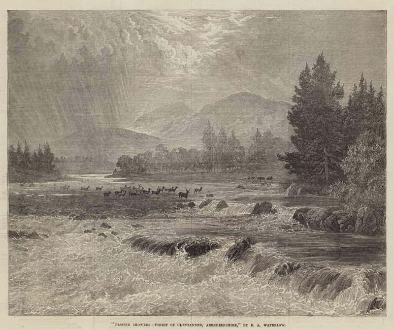 Forbigående byger, Forest of Glentanner, Aberdeenshire af Ernest Albert Waterlow