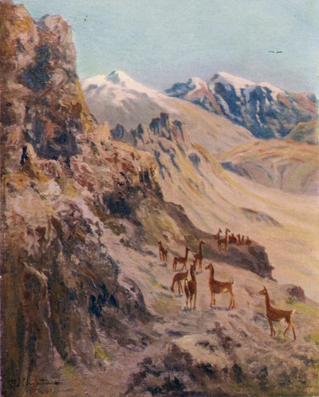 En Guanaco-jagt af Ernest William Christmas