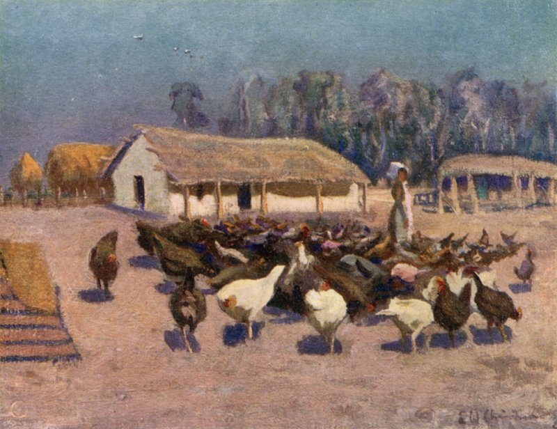 En sommerdag på en hønsegård af Ernest William Christmas