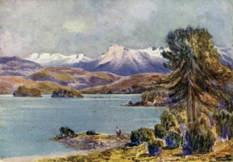 Moquhue søen af Ernest William Christmas