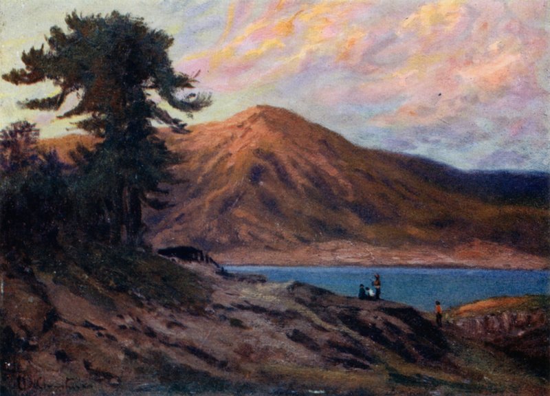 Fyrretræer på Lake Alumine af Ernest William Christmas