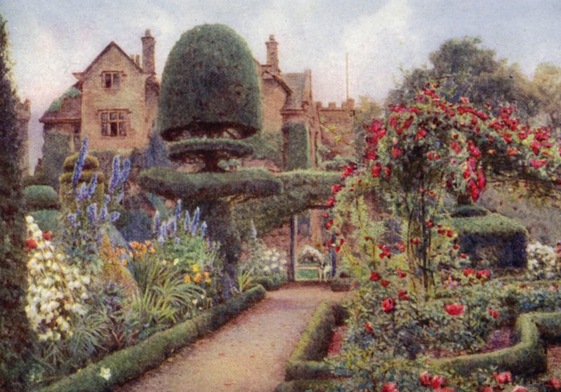 Delphiniums i den urteagtige grænse ved Levens Hall (farve litho) af Ernest Arthur Rowe