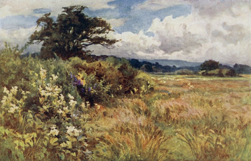 Rising Ground af Ernest Benger or Berenger