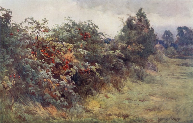 Åbenbaringen af modenhed af Ernest Benger or Berenger