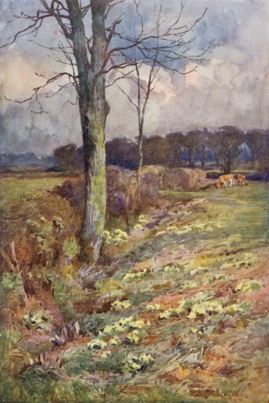 Den udvidende Vista af Ernest Benger or Berenger