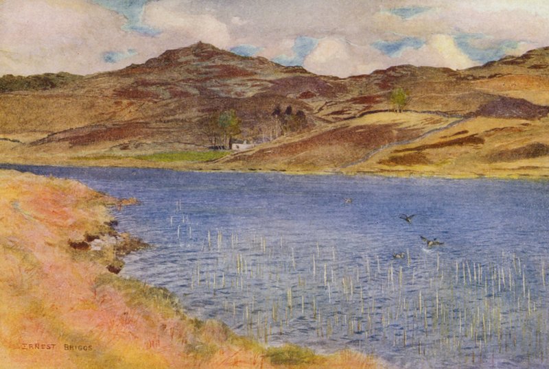 Loch Howie eller Wee (farvelitografi) af Ernest Edward Briggs