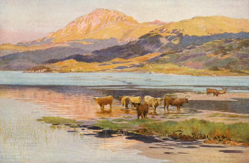 Hovedet af Loch Quoich, aften (farvelitografi) af Ernest Edward Briggs