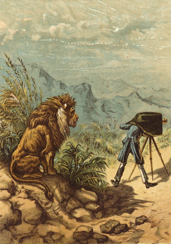 Lovende udsigter, løve observerer fotograf (chromolitho) af Ernest Henry Griset