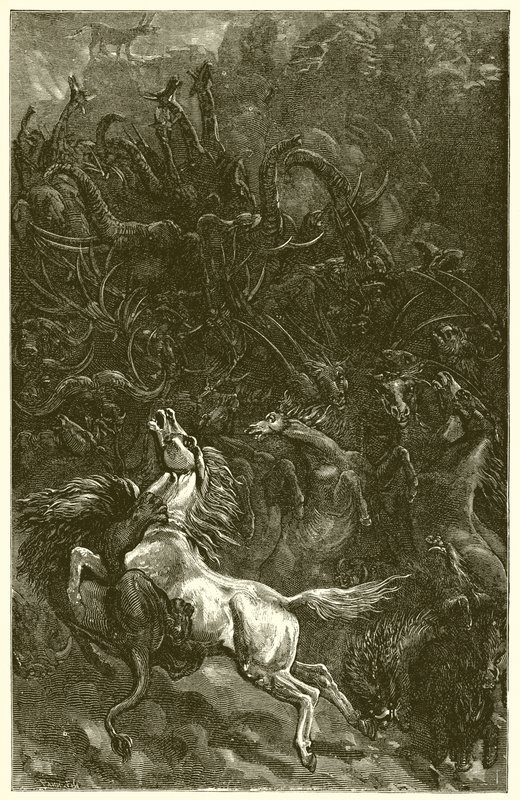 Æselen og Løvejagten af Ernest Henry Griset