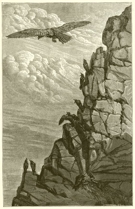 Ørnen og kragen af Ernest Henry Griset