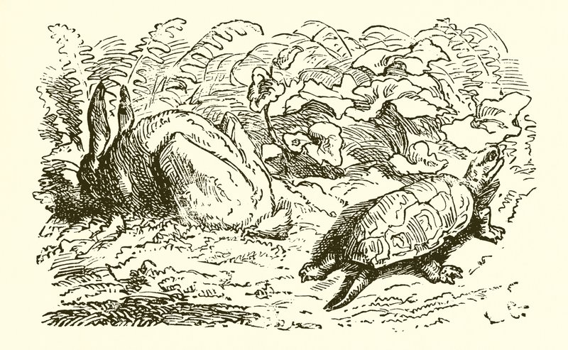 Haren og Skildpadden af Ernest Henry Griset
