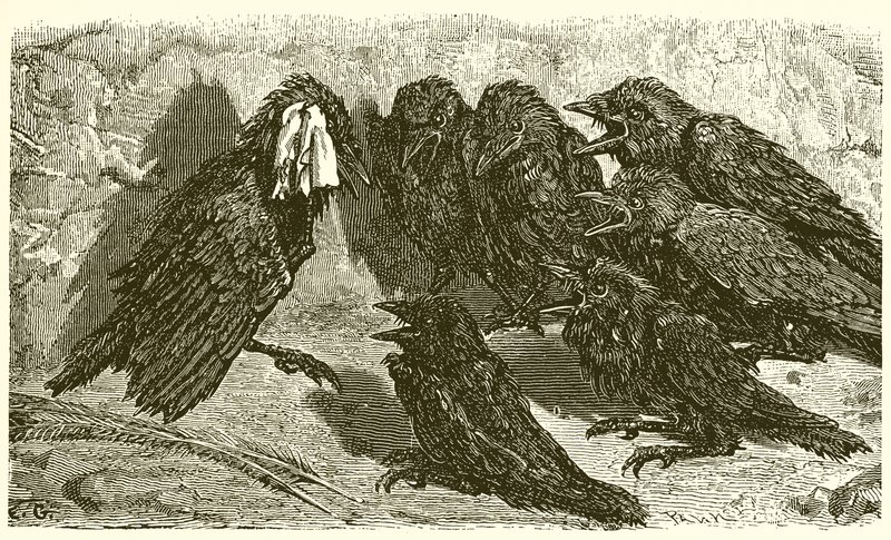 Den forfængelige Jackdaw af Ernest Henry Griset