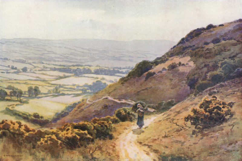 Ballard Down, Swanage (farvemedlemmer) af Ernest William Haslehust