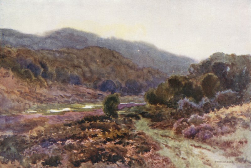 Af Broomy Water (farve litho) af Ernest William Haslehust