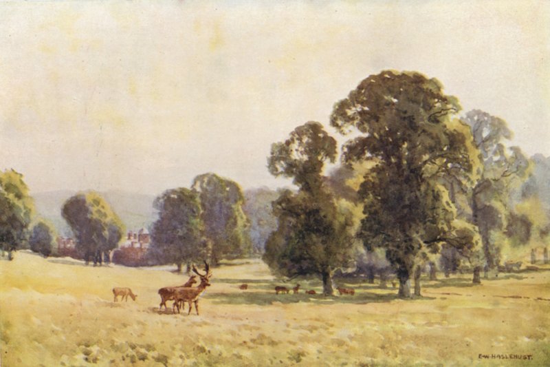 Cobham Park (farve litho) af Ernest William Haslehust