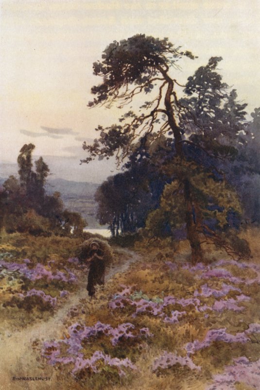 Harlow Moor, Harrogate (farve litho) af Ernest William Haslehust