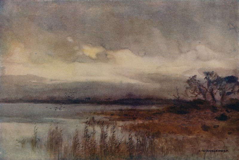 Hickling Broad (farve litho) af Ernest William Haslehust