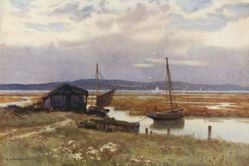 Lepe (farvemedlemmer) af Ernest William Haslehust