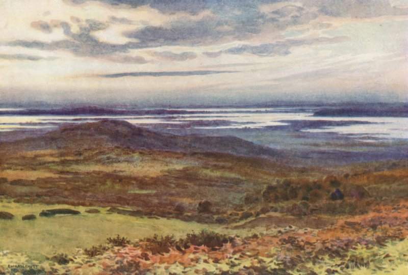 Poole fra Swanage Golf Links (farvemedlemmer) af Ernest William Haslehust