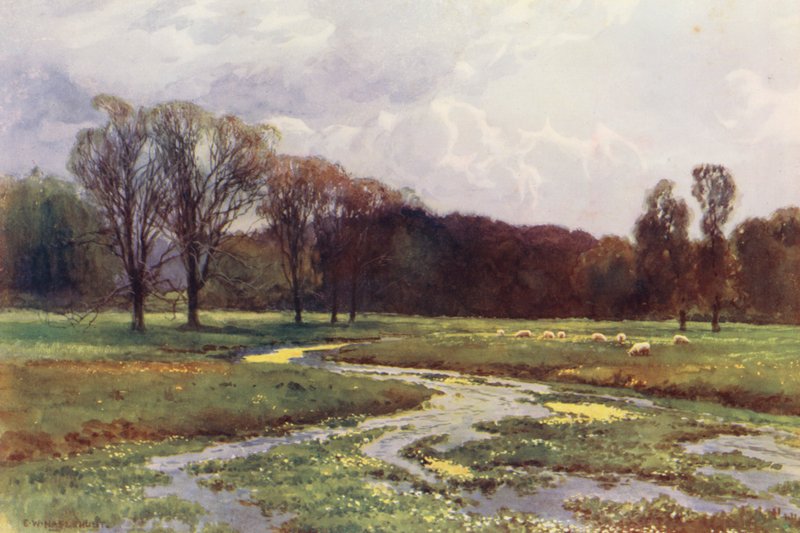 Themsen: Thames Head (farvelitografi) af Ernest William Haslehust