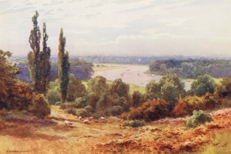 Themsen: Themsen fra Richmond Hill (farvelitografi) af Ernest William Haslehust