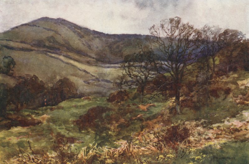 Shanklin Down, tidligt forår (farve litho) af Ernest William Haslehust