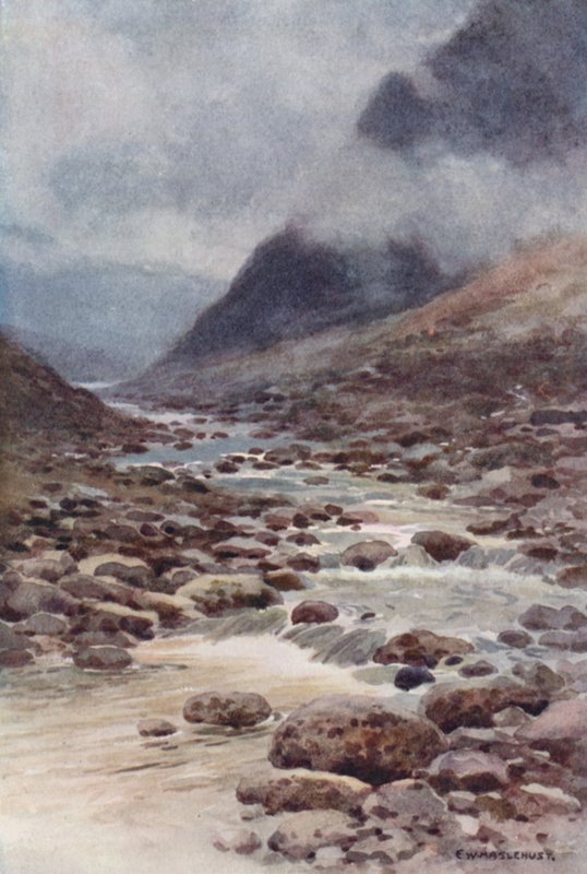 Fat Cleave (farve litho) af Ernest William Haslehust
