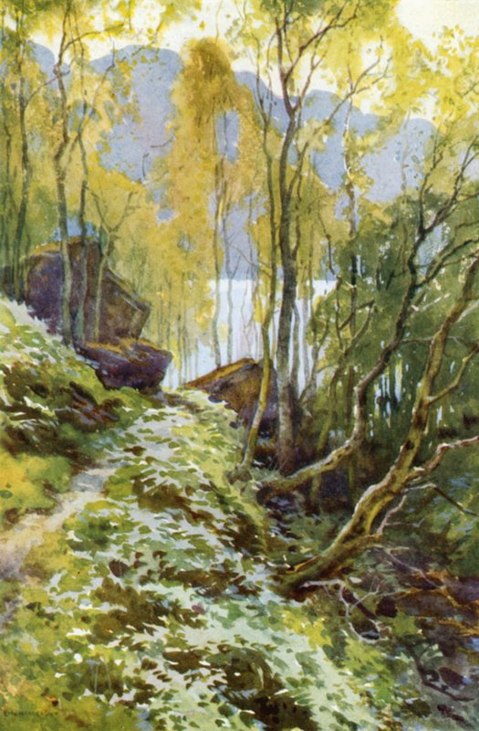 Det gamle pas, Trossachs (farve litho) af Ernest William Haslehust