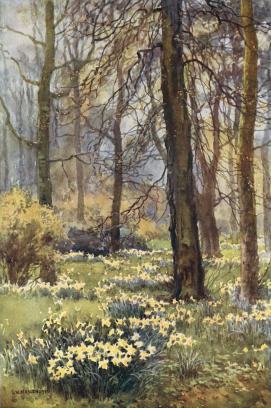 Vildmarken om foråret (farve litho) af Ernest William Haslehust