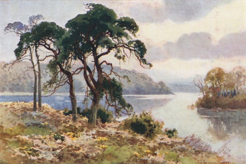 Virginia Water (farve litho) af Ernest William Haslehust