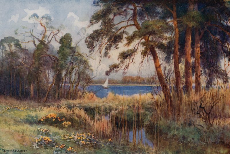 Wroxham Broad, tidligt forår (farve litho) af Ernest William Haslehust