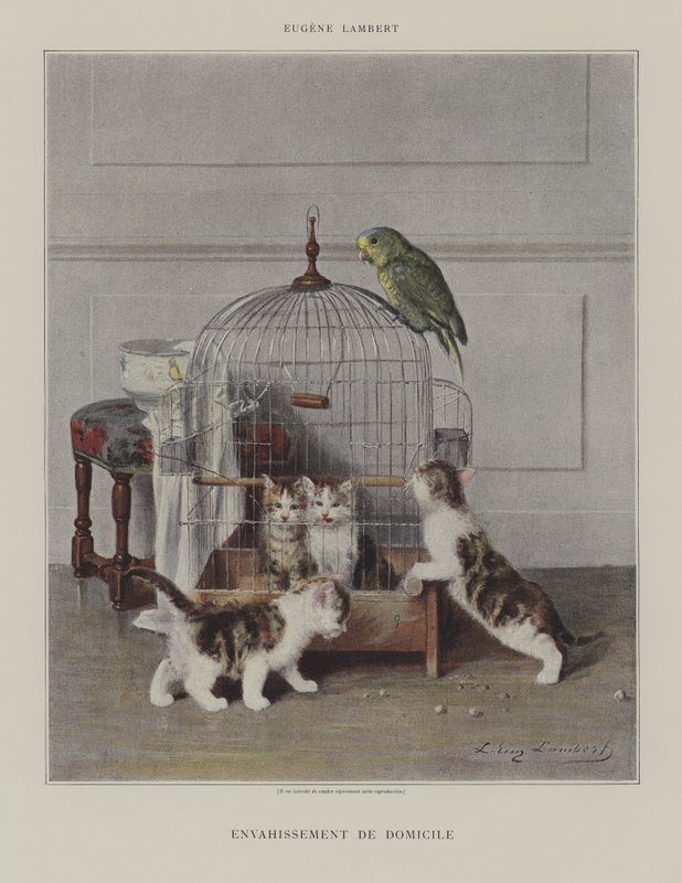 Hjem invasion af Eugene Lambert