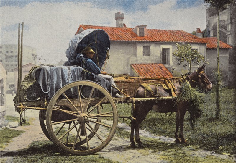 Roms omgivelser, Carter Driving Wine af European Photographer