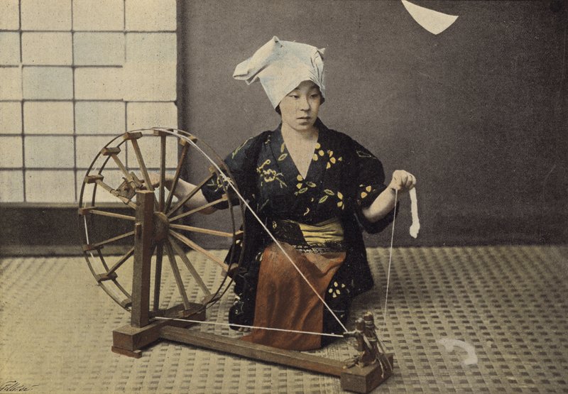 Bomuldsspinder af European Photographer