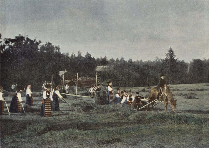 Høskæring i Dalarna, Sverige af European Photographer
