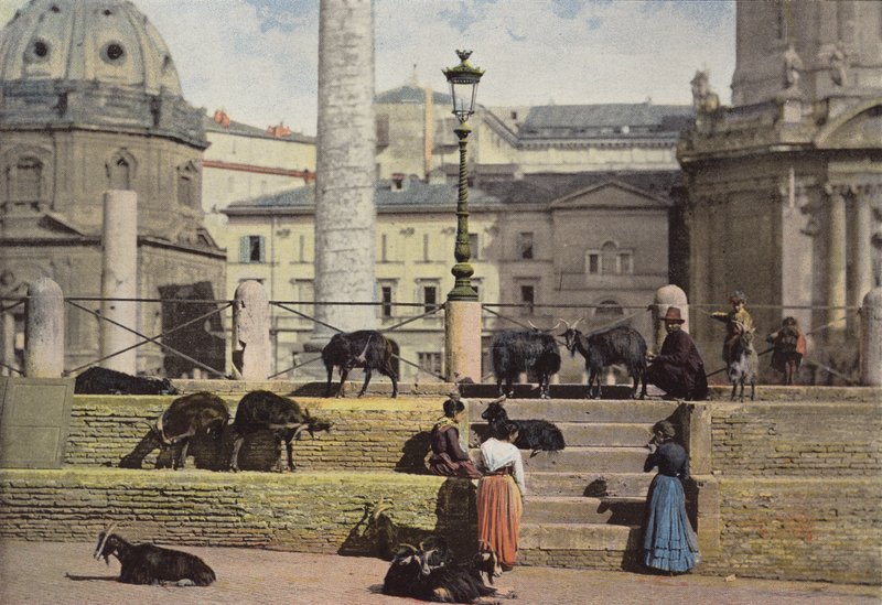 Rom, geder i Trajans forum af European Photographer