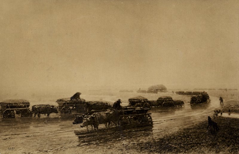 Oksevognsbane i Mariupol, 1875 af European School
