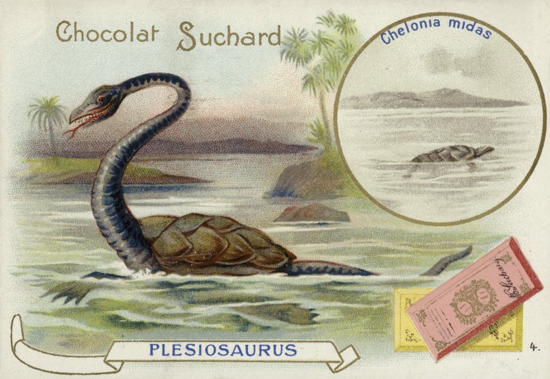 Plesiosaur og grøn havskildpadde af European School