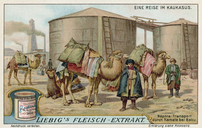 Transporting naptha by camel at Baku  af European School