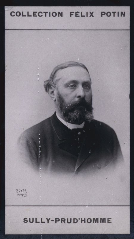 Armand Sully Prudhomme (1839) (s/h-foto) af European Photographer