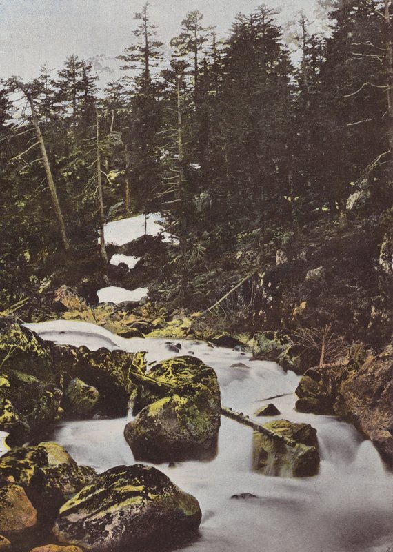 Cauterets, øvre fald på Spanien-broen af European Photographer