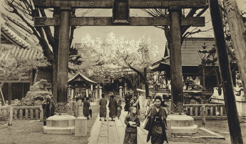 Japan, gade i Tokyo, tidspunkt for kirsebærblomstring (s/h foto) af European Photographer