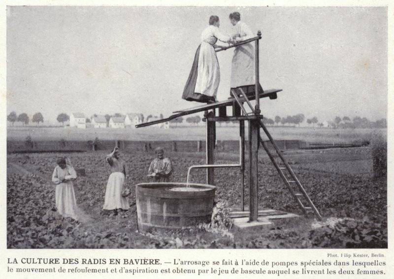 Radisekulturen i Bayern (s/h-billede) af European Photographer
