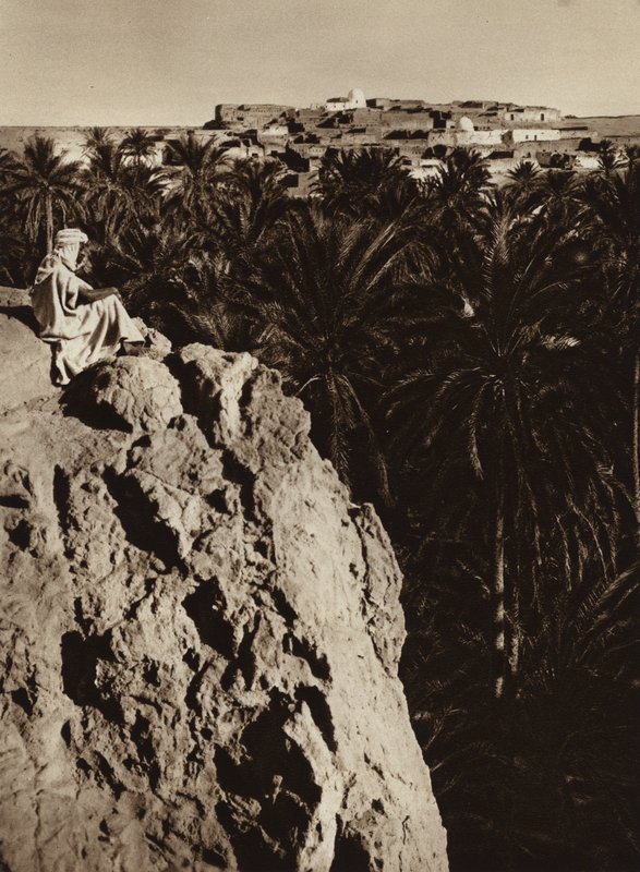 Nefta Oasis (s/h foto) af European Photographer