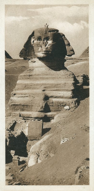 Den store sfinks på Giza-plateauet, Egypten (s/h foto) af European Photographer