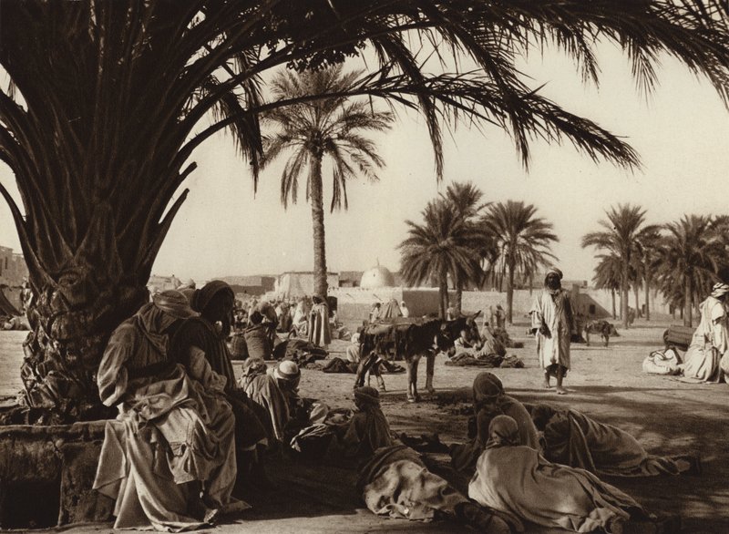 Touggourt Oasis (s/h foto) af European Photographer
