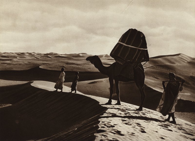 Transport af kvinder gennem Sahara (s/h-foto) af European Photographer
